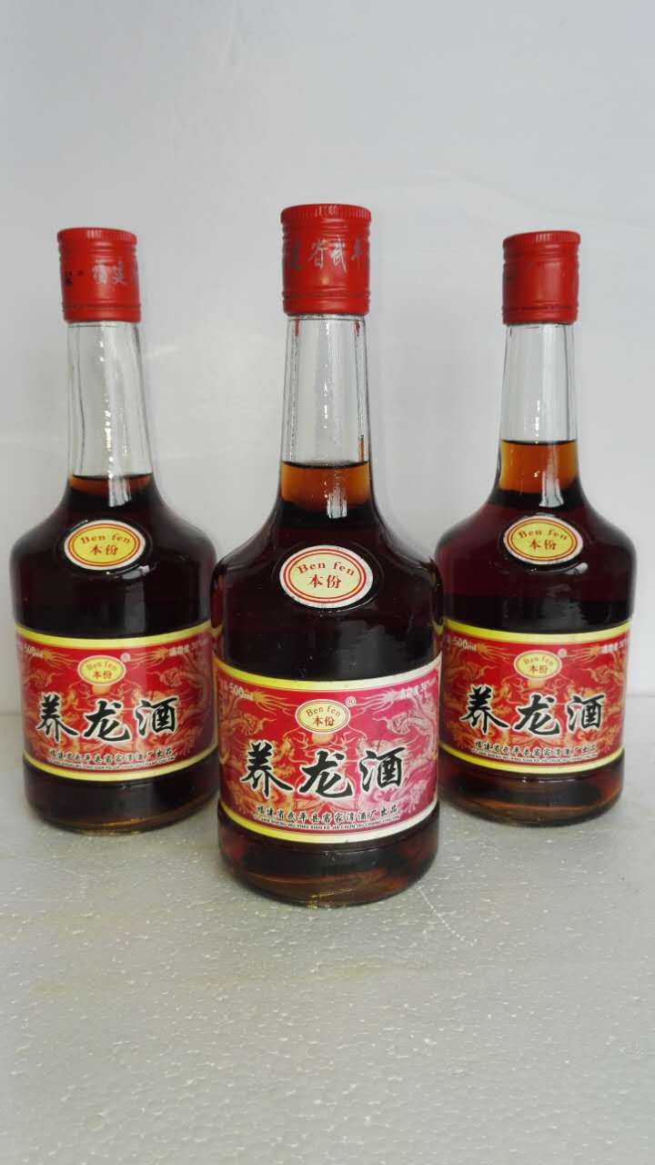 養(yǎng)龍酒